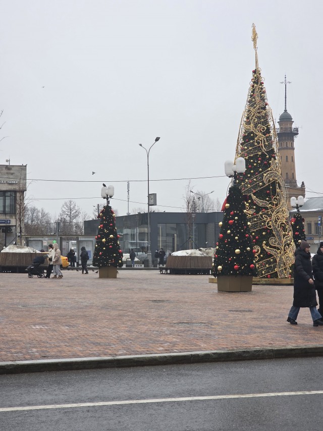 Москва, Сокольники, 2 марта. И так по всей Москве.