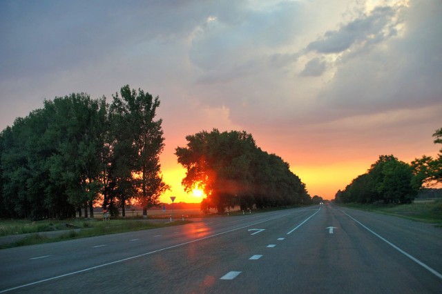 Абхазия (море), Армения (абрикосы)
