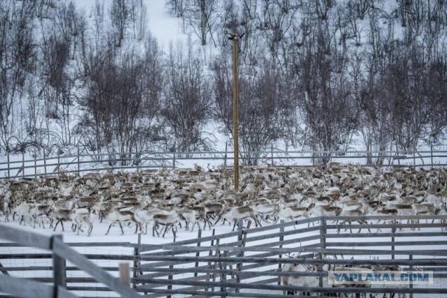 Индекс Мосбиржи обвалился ниже 2300 пунктов впервые за три года