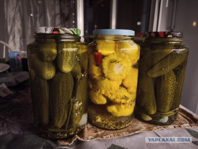Как я засаливаю (мариную)  огурцы. Мой рецепт