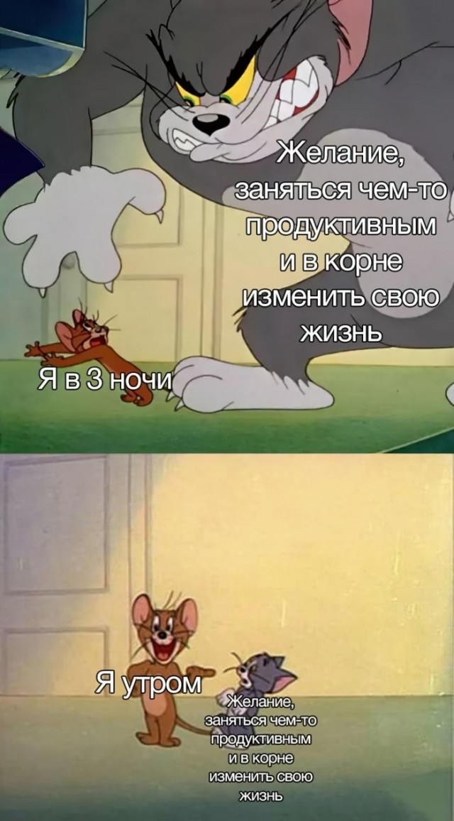 Веселые картинки в пятницу (09.10)