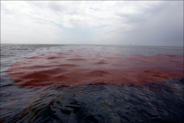 Нефть хлещет тысячами баррелей в море