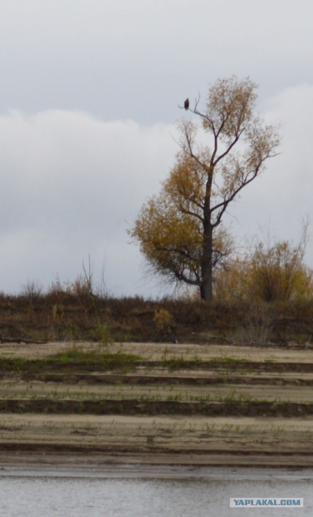 3 дня на Оби, октябрь 2013 г.