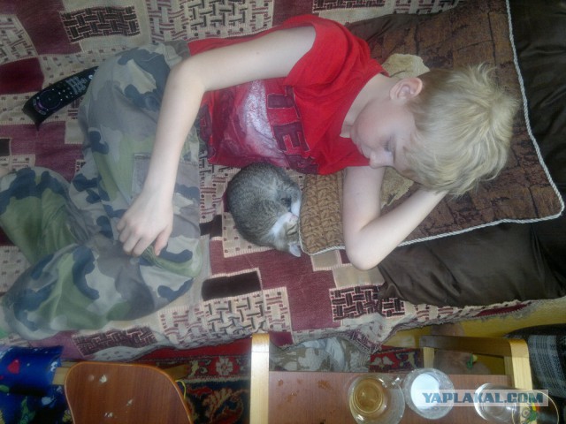 Котовторник 22.04.2014