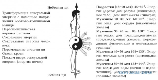 "Все мужики – сво...": идеальная философия