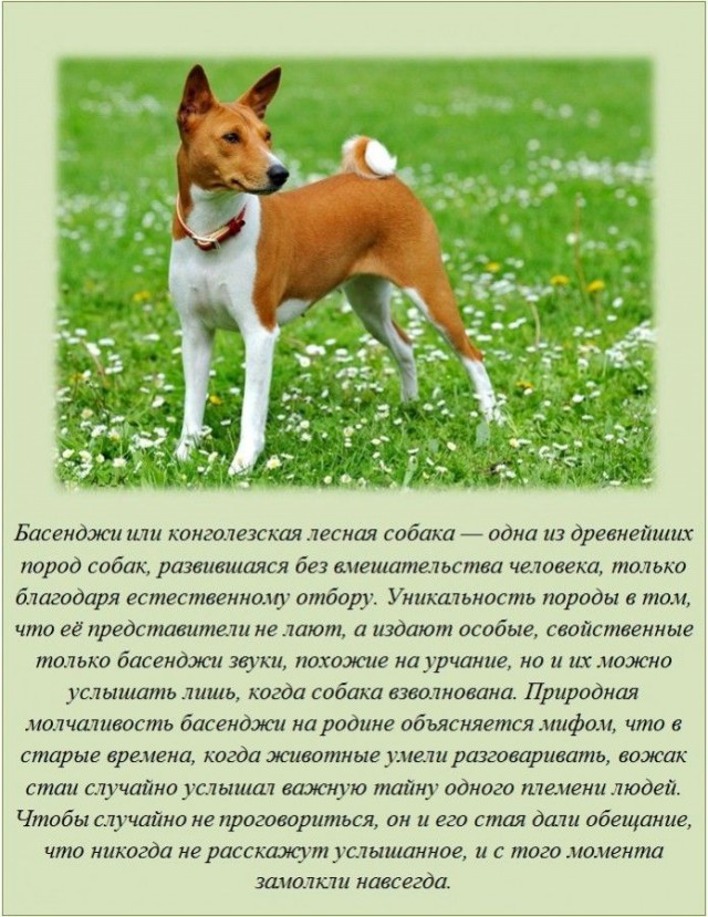 20 фактов обо всем