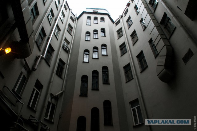 Парадные Петербурга