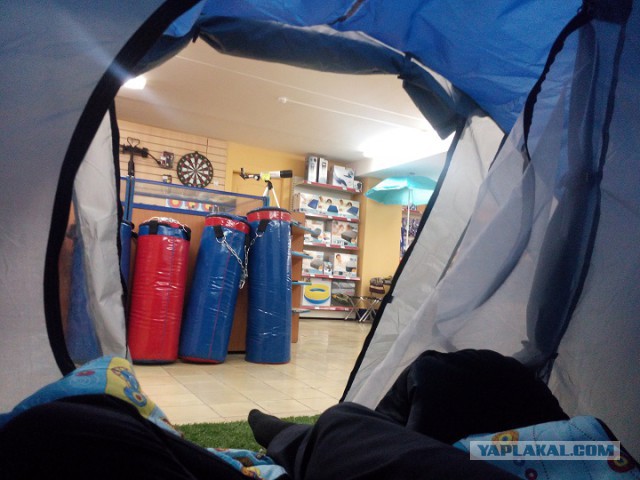 Мое утро в палатке. "Природа"