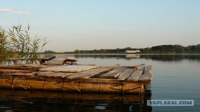 Немного моих фото, авторское