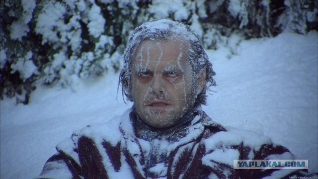 А на каких машинах ездят сами ЯПовцы?