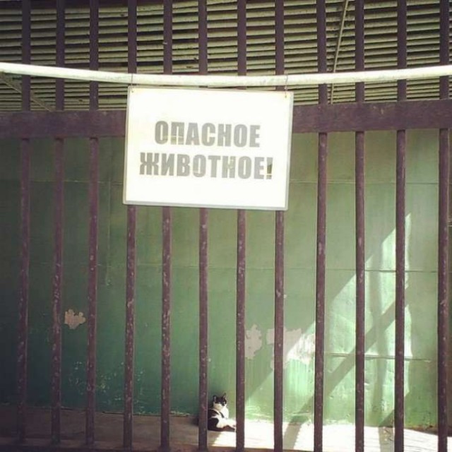 Прикольные и не очень картинки из сети