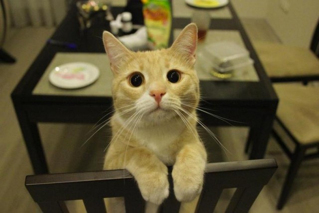 Подборка интересных и прикольных картинок