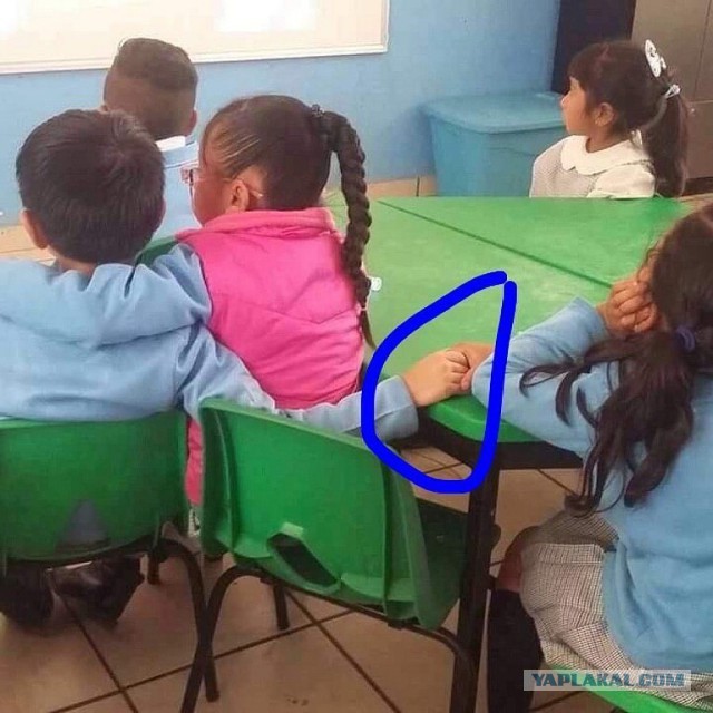 Настоящий фотограф всегда найдёт удачный ракурс!
