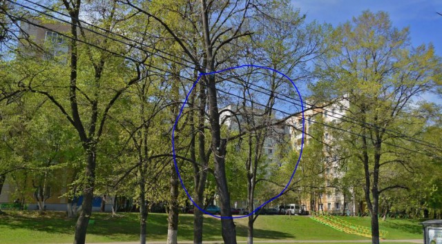 Как азербайджанцы дурят гостей
