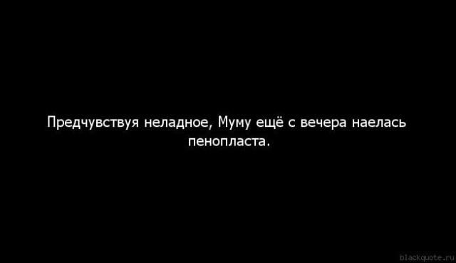 Картинки с анекдотами
