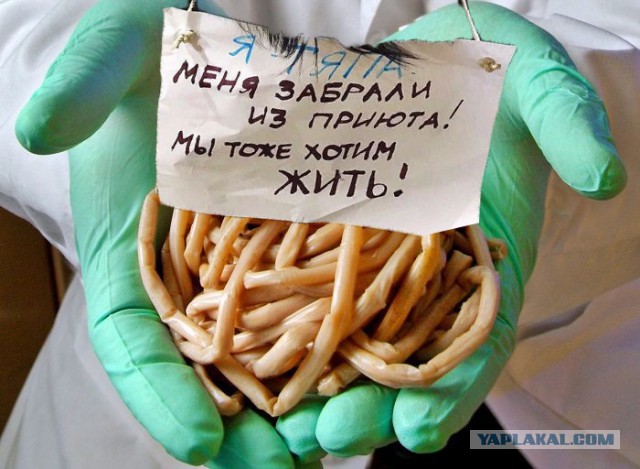 «Усыпи себя сам»