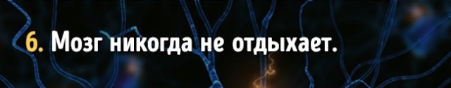 Факты о работе мозга, которые доказывают, что мы способны на все