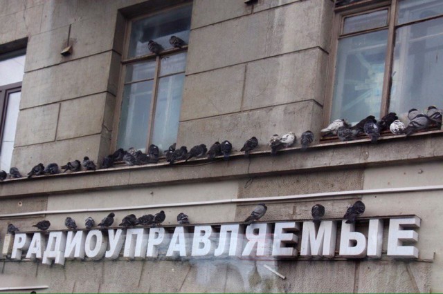 Подборка интересных и веселых картинок