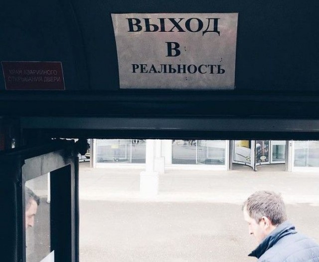 Подборка безудержного веселья