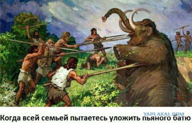 Папа-хаски впервые увидел своих детей