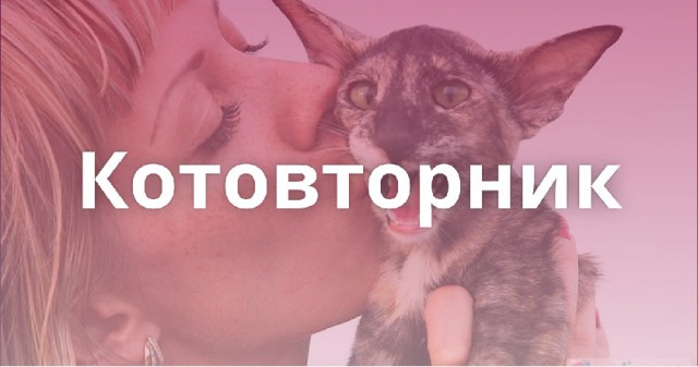 Сейчас всё докажем