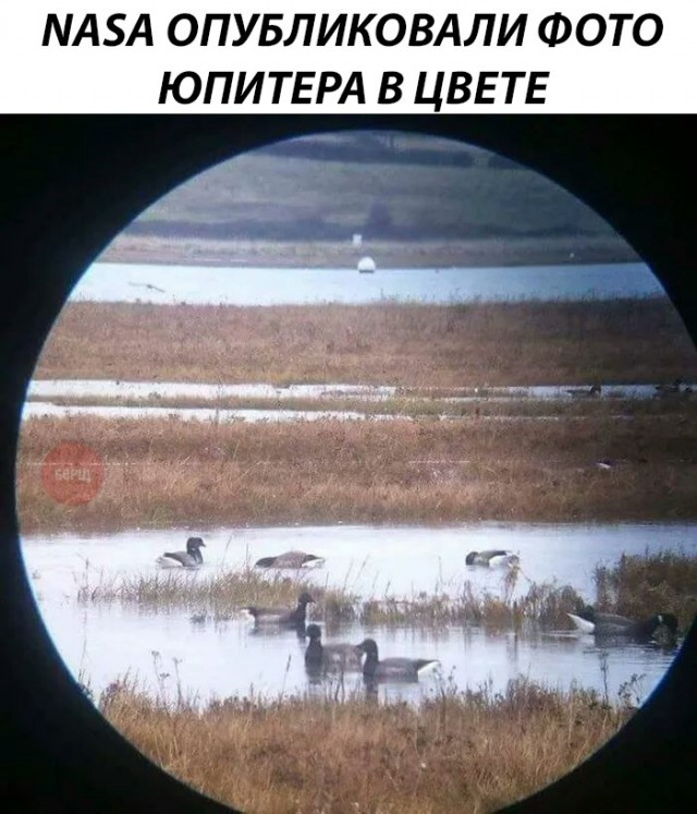Нестандартный юмор
