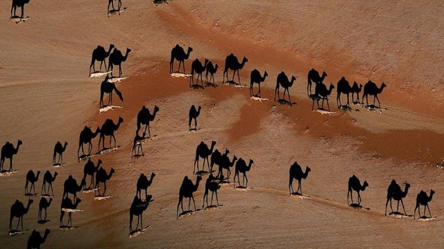 Подборка интересных и веселых картинок
