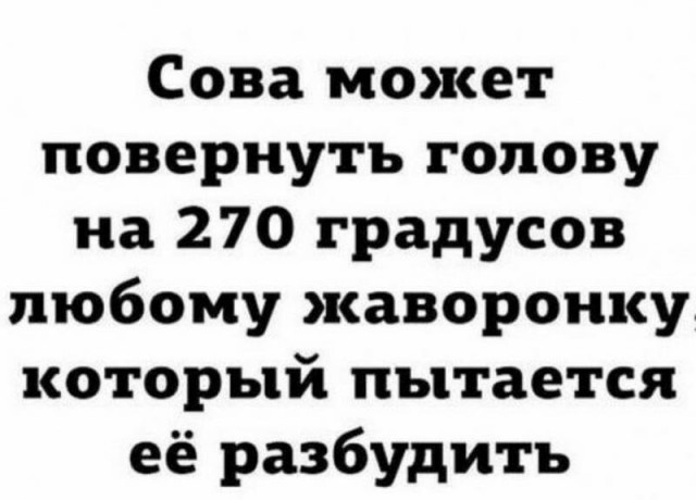 Немного картинок для настроения