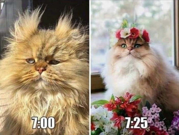 Просто 30 фоток