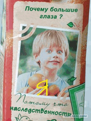Фотожаба: Подпись к наклейке