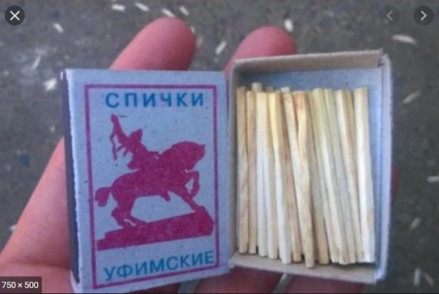 Михаил Ефремов заказал в свою камеру гуся с яблоками за 6 тысяч рублей