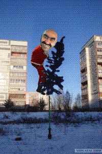 У нас в городе поставили ЙОЛКУ