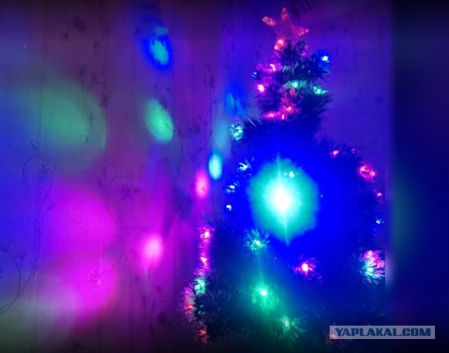 Народ, а давайте своими ёлками делиться и хвастаться? Пора бы уже )