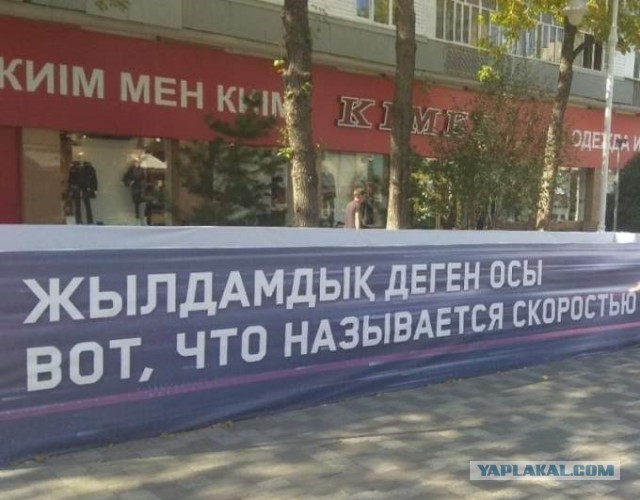 Фотосалат и картинки