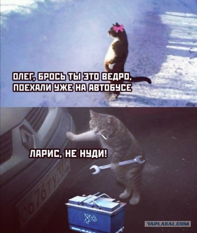 Бредзона 18.02.2021