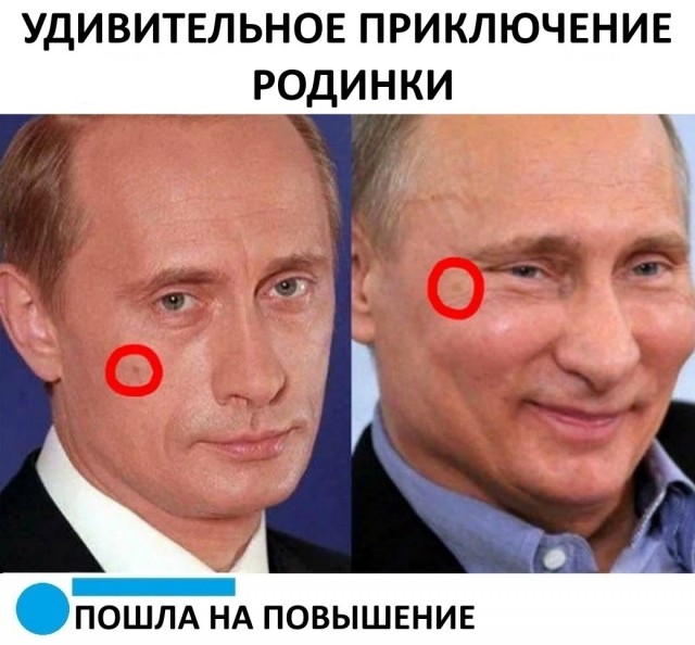 Весёлый полтишок 7.03