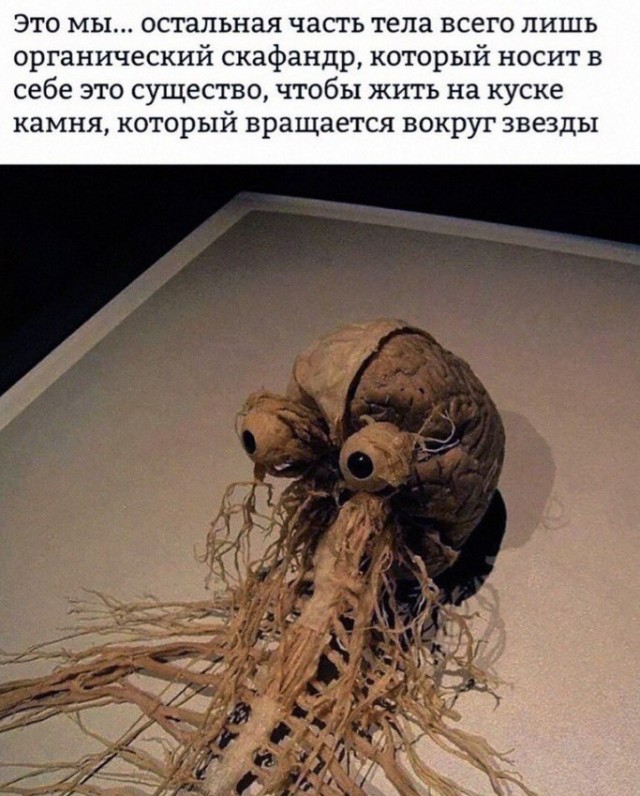 Отмена деградации. Околонаучные картинки