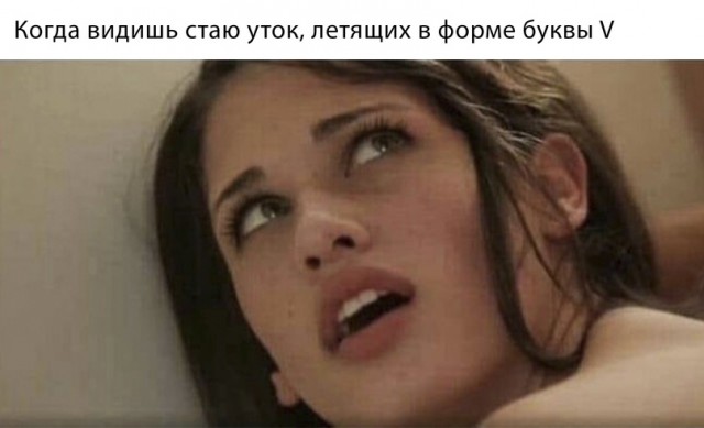 Весёлый полтишок 25.04