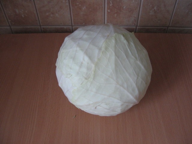 Капуста International, Наступила осень, отцвела капуста...