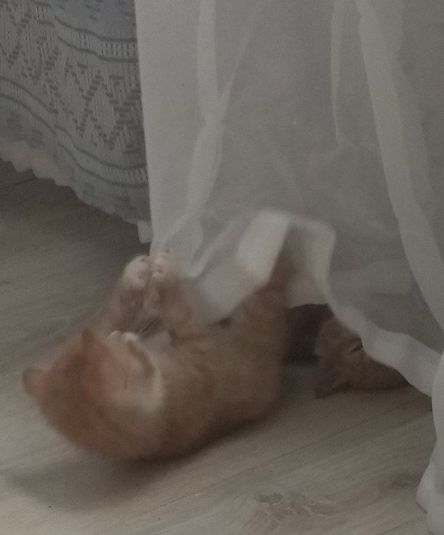 Когда спать важнее всего.