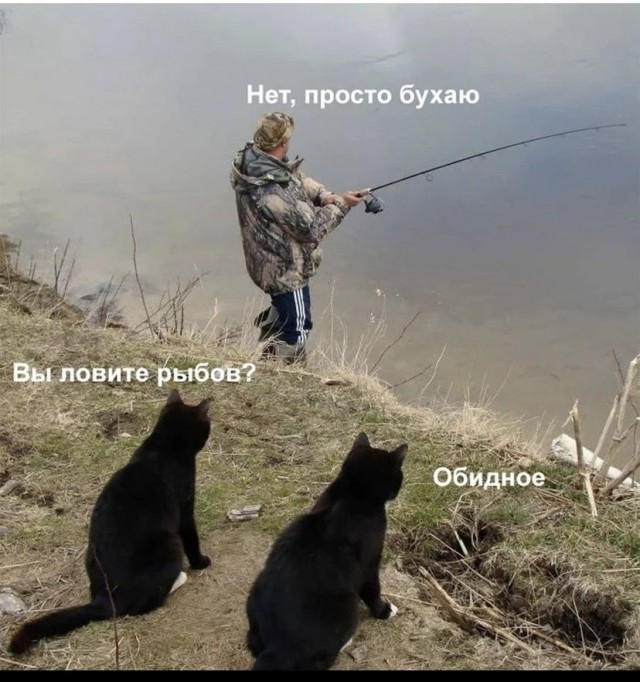 Весёлый полтишок 8.08