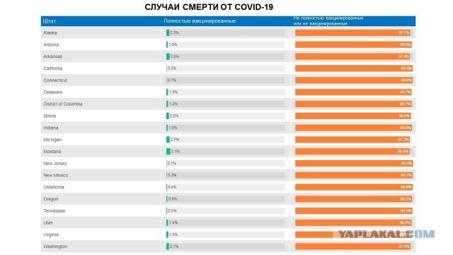 О ковидной афере (почему нас держат за дурачков)?