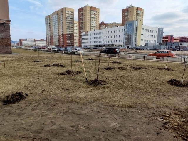 Свежая зелень