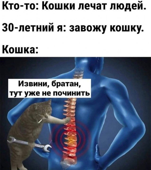 Так себе картинки 15.11.21