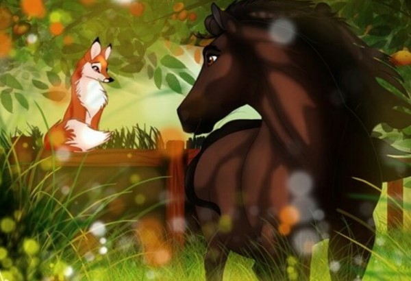 В мире животных