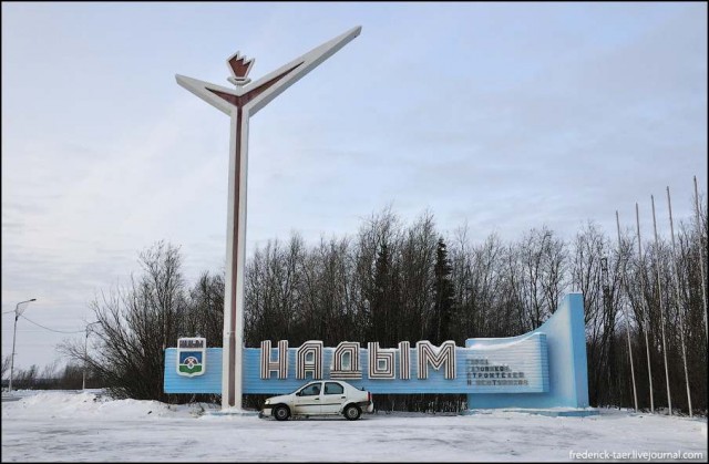 На Логане в Надым: новогодняя охота на комара