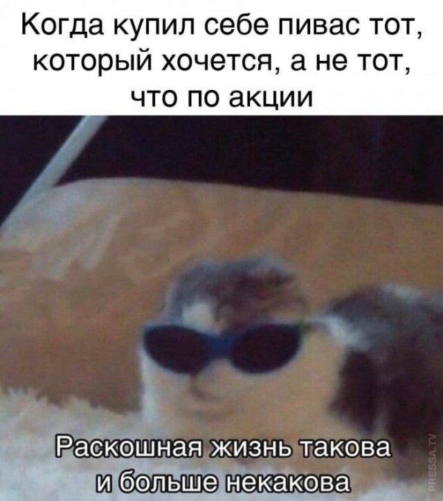 Картинки и мемы для настроения - 29