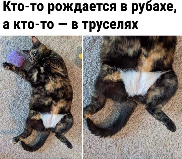 Так себе картинки 06.06.22