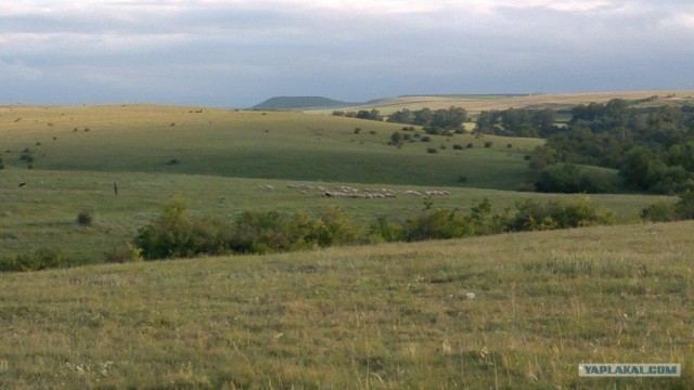 Деревня в которой я живу