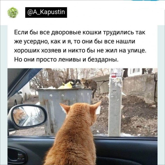 Картинки и мемы для настроения - 009